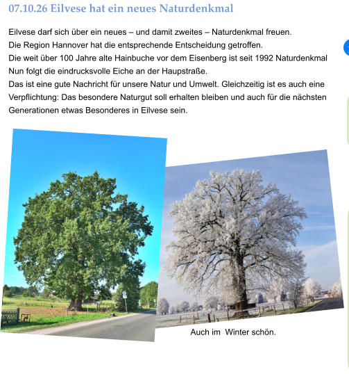 07.10.26 Eilvese hat ein neues Naturdenkmal  Eilvese darf sich über ein neues – und damit zweites – Naturdenkmal freuen.  Die Region Hannover hat die entsprechende Entscheidung getroffen. Die weit über 100 Jahre alte Hainbuche vor dem Eisenberg ist seit 1992 Naturdenkmal Nun folgt die eindrucksvolle Eiche an der Haupstraße. Das ist eine gute Nachricht für unsere Natur und Umwelt. Gleichzeitig ist es auch eine Verpflichtung: Das besondere Naturgut soll erhalten bleiben und auch für die nächsten Generationen etwas Besonderes in Eilvese sein. Auch im  Winter schön.